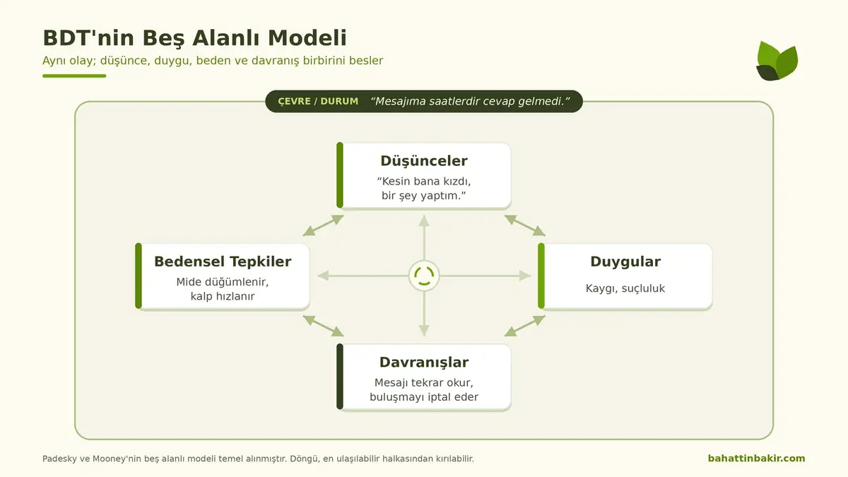 Bilişsel davranışçı terapi nedir: BDT'nin beş alanlı modelinde çevre, düşünceler, duygular, bedensel tepkiler ve davranışların birbirini etkilemesi