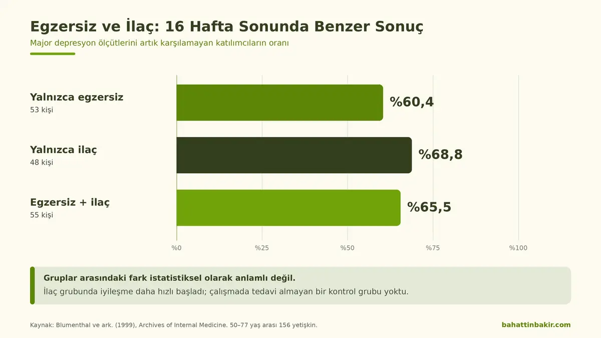 Egzersiz ve depresyon: 16 hafta sonunda yalnızca egzersiz, yalnızca ilaç ve egzersiz artı ilaç gruplarında iyileşme oranlarını gösteren çubuk grafik