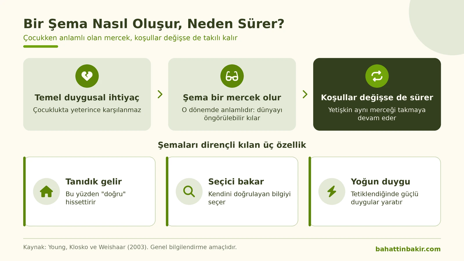 Bir şemanın karşılanmayan ihtiyaçtan nasıl doğup yetişkinlikte sürdüğü ve şemaları dirençli kılan üç özellik