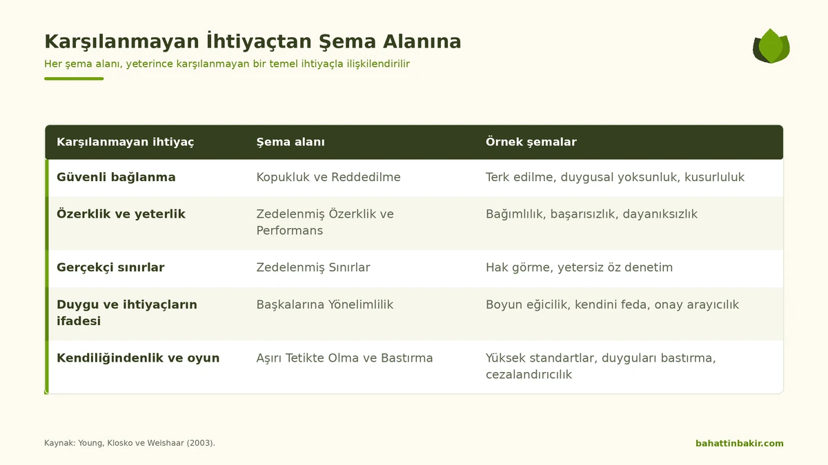 Karşılanmayan temel duygusal ihtiyaçlar ile şema alanları arasındaki eşleşme