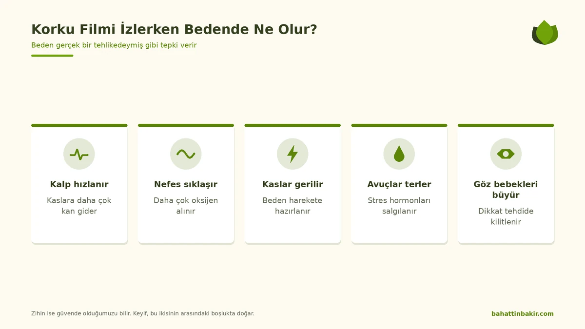Korku filmi izlerken bedende olanlar