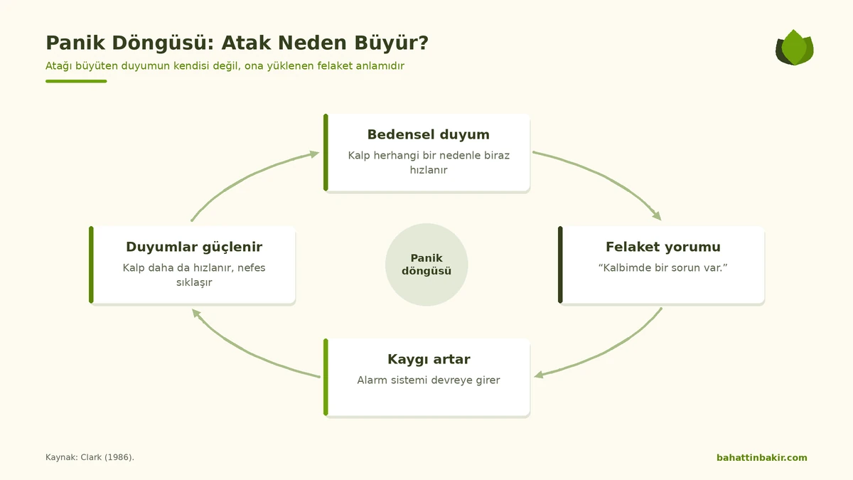 Panik döngüsü: bedensel duyum, felaket yorumu, kaygı ve duyumların artması